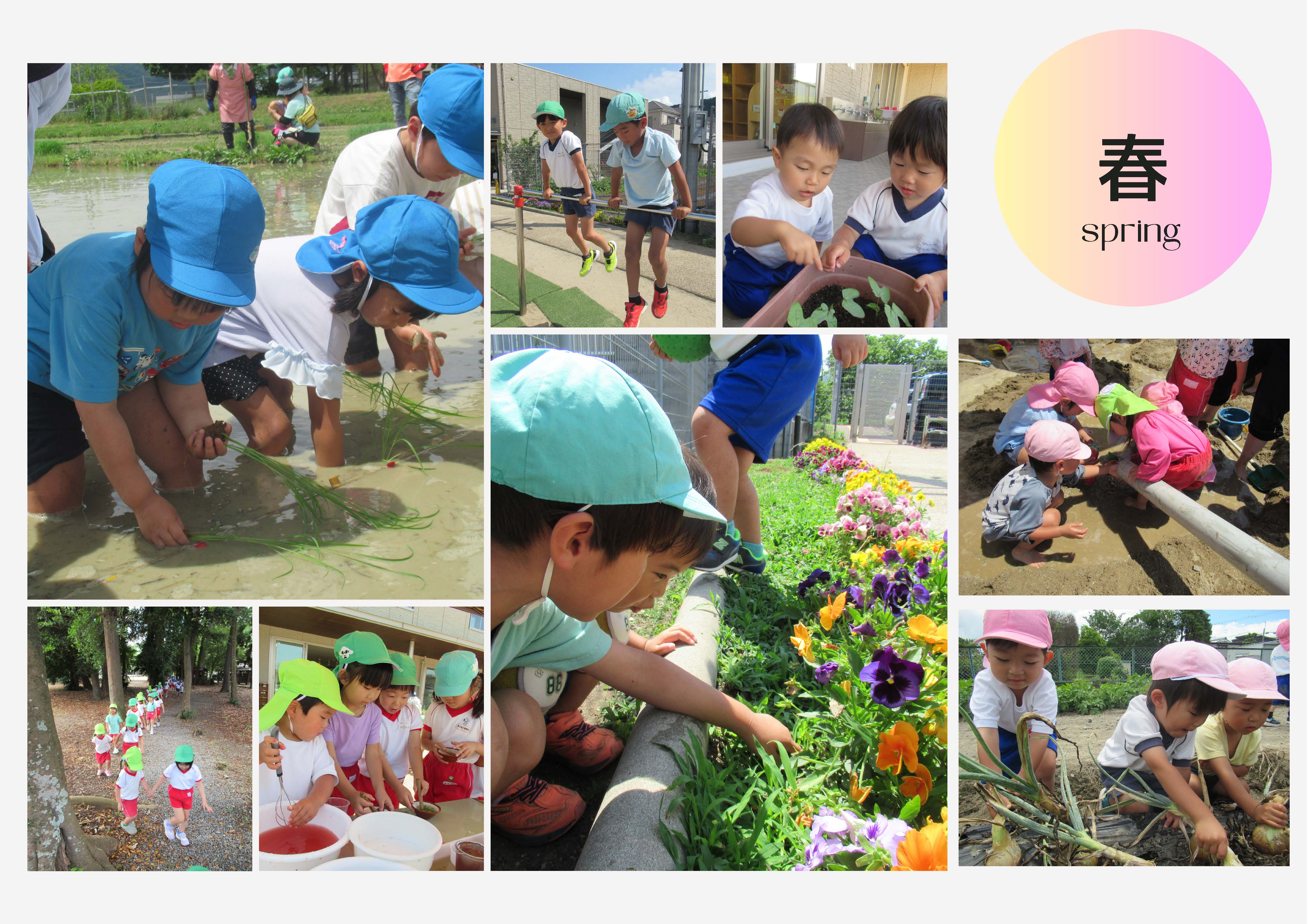 篠村幼稚園